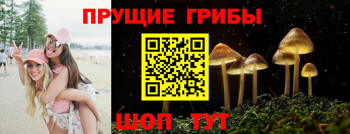 Псилоцибиновые грибы Psilocybine cubensis  Вход с VPN  Кубинка 